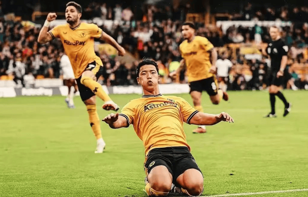 开云体育APP下载-狼队主场击败对手，豪取三分