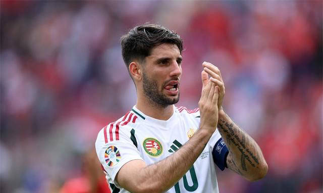 开云APP-匈牙利队获得欧洲杯参赛资格，球迷期待新一轮较量