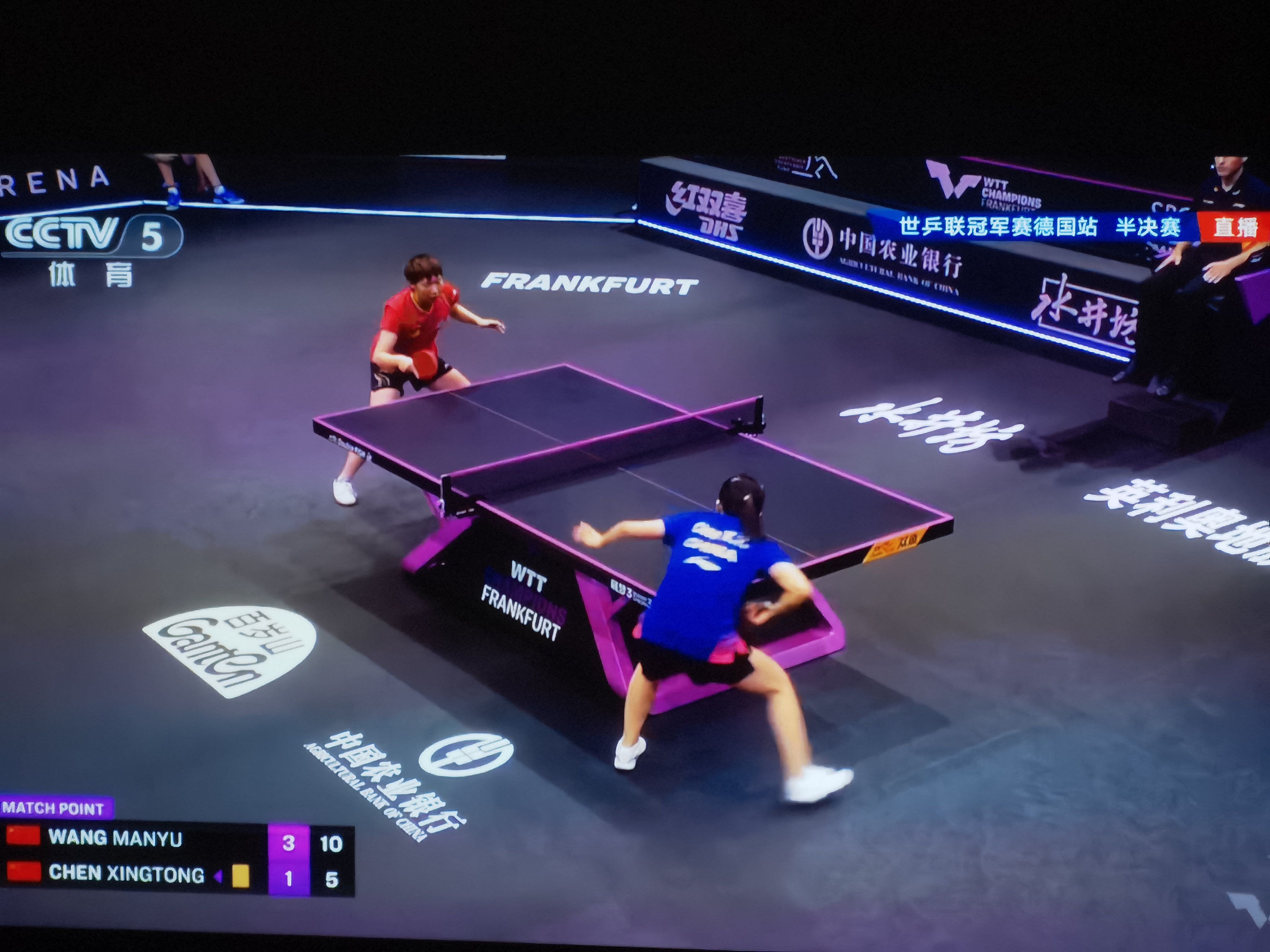 开云官网-关于德国乒乓球队轻取中国乒乓球队，波尔制霸全场的信息